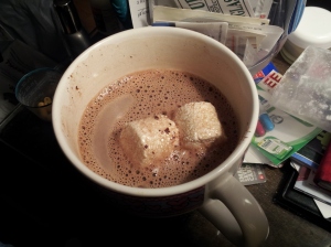 Hot Chocolate with Marshmallows!